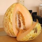 Crane Melon Fast Growing Sweet Tasting Usa Farm  25+ seeds