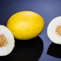 Canary Melon Fast Growing Sweet Tasting Usa Farm  25+ seeds