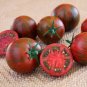Zebra Cherry Tomato Hybrid Vegetable Garden Planting Tomatoe Easy Grow 50+ seeds