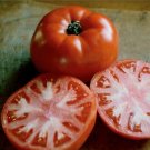 Valley Girl Tomato Hybrid Vegetable Garden Planting Tomatoe Easy 50+ seeds