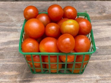 Toronjina Tomato Hybrid Vegetable Garden Planting Tomatoe Easy 50+ seeds