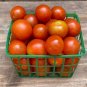 Toronjina Tomato Hybrid Vegetable Garden Planting Tomatoe Easy 50+ seeds