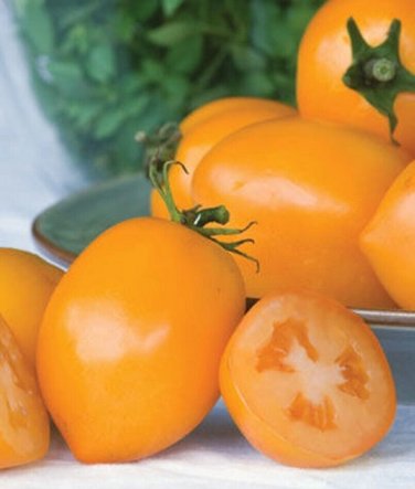 Tangerine Mama Tomato Hybrid Vegetable Garden Planting Tomatoe Easy 50+ seeds