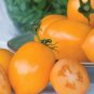 Tangerine Mama Tomato Hybrid Vegetable Garden Planting Tomatoe Easy 50+ seeds