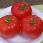 Tygress Tomato Hybrid Vegetable Garden Planting Tomatoe Easy Grow 50+ seeds