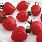 Tomatoberry Tomato Hybrid Vegetable Garden 50+ seeds