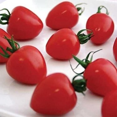 Tomatoberry Tomato Hybrid Vegetable Garden 50+ seeds