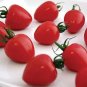 Tomatoberry Tomato Hybrid Vegetable Garden 50+ seeds