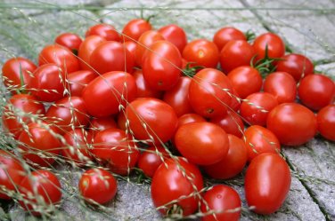 Tami G Tomato Hybrid Vegetable Garden 50+ seeds