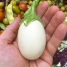 Rare Heirloom Eggplant Kyoto Egg-Shape Food Garden Planting 25 seeds