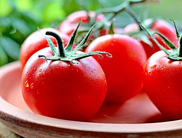 Sweet Quartz Tomato Hybrid Vegetable Garden Planting Tomatoe 50 seeds
