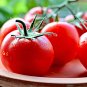 Sweet Quartz Tomato Hybrid Vegetable Garden Planting Tomatoe 50 seeds