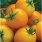 Solar Power Tomato Hybrid Vegetable Garden Planting Tomatoe 50 seeds