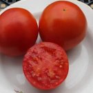 Supertasty Tomato Hybrid Vegetable Garden Planting Tomatoe 50 seeds