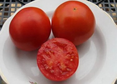 Supertasty Tomato Hybrid Vegetable Garden Planting Tomatoe 50 seeds