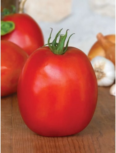 Supersauce Tomato Hybrid Vegetable Garden Planting Tomatoe 50 seeds