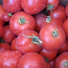 Summer Fresh Tomato Hybrid Vegetable Garden Planting Tomatoe 50 seeds