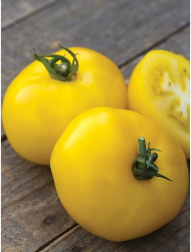 Sunny Boy Tomato Hybrid Vegetable Garden Planting Tomatoe 50 seeds