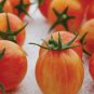 Sunrise Bumble Bee Tomato Hybrid Vegetable Garden Planting Tomatoe 50 seeds