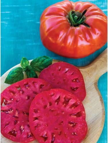 Steakhouse Tomato Hybrid Vegetable Garden Planting Tomatoe 50 seeds
