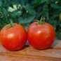 Scarlet Red Tomato Hybrid Vegetable Garden Planting Tomatoe 50 seeds
