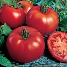 Rutgers Tomato Hybrid Vegetable Garden Planting Tomatoe Grow 50 seeds