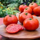 Razzle Dazzle Tomato Hybrid Vegetable Garden Planting Tomatoe Grow 50 seeds