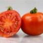 Quimbaya Tomato Hybrid Vegetable Garden 50+ seeds