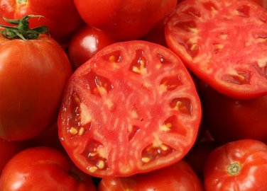 Porterhouse Tomato Hybrid Vegetable Garden 50+ seeds