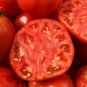 Porterhouse Tomato Hybrid Vegetable Garden 50+ seeds