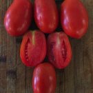 Plum Crimson Tomato Hybrid Vegetable Garden 50+ seeds