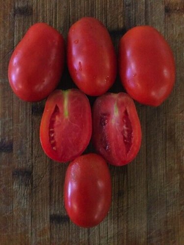Plum Crimson Tomato Hybrid Vegetable Garden 50+ seeds
