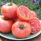 Pink Pounder Tomato Hybrid Vegetable Garden 50+ seeds
