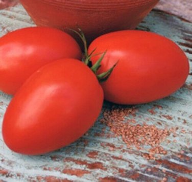 Picus Tomato Hybrid Vegetable Garden 50+ seeds