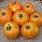 Orange Blossom Tomato Hybrid Vegetable Garden 50+ seeds