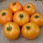 Orange Blossom Tomato Hybrid Vegetable Garden 50+ seeds