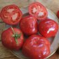 Nectarine Tomato Hybrid Vegetable Garden 50+ seeds