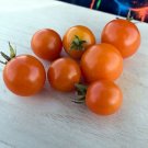 Monarch Tomato Hybrid Vegetable Garden 50+ seeds