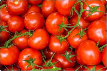 Maglia Rosa Tomato Hybrid Vegetable Garden 50+ seeds