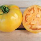 Lucky Cross Tomato Hybrid Vegetable Garden 50+ seeds