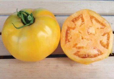 Lucky Cross Tomato Hybrid Vegetable Garden 50+ seeds