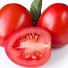 Lunch Box Tomato Hybrid Vegetable Garden 50+ seeds