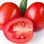 Lunch Box Tomato Hybrid Vegetable Garden 50+ seeds