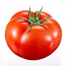 Legend Tomato Hybrid Vegetable Garden 50+ seeds