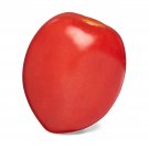 Jetsonic Tomato Hybrid Vegetable Garden 50+ seeds