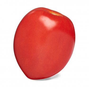 Jetsonic Tomato Hybrid Vegetable Garden 50+ seeds