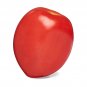 Jetsonic Tomato Hybrid Vegetable Garden 50+ seeds