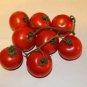 Jazzy Tomato Hybrid Vegetable Garden 50+ seeds