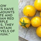 Italian Ice Tomato Hybrid Vegetable Garden 50+ seeds