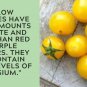 Italian Ice Tomato Hybrid Vegetable Garden 50+ seeds